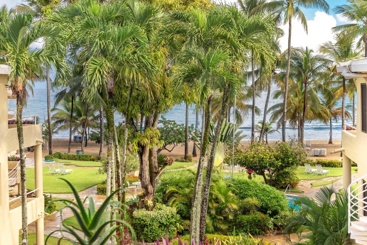 Cabarete Palm Beach Condos Luaran gambar