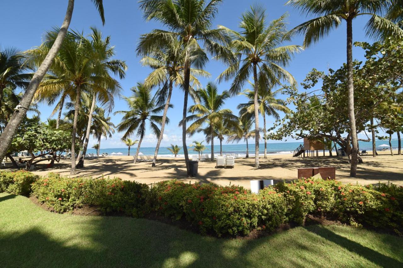 Cabarete Palm Beach Condos Luaran gambar